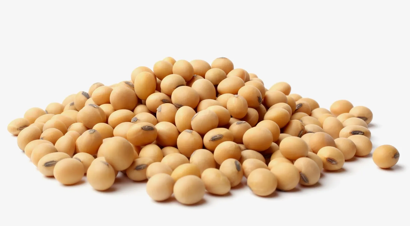Soya en Grano (Libra)
