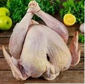 Pavo Chompipe criollo Libra