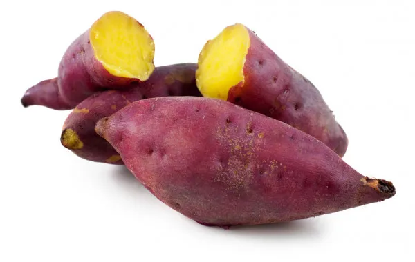 Camote (Libra)