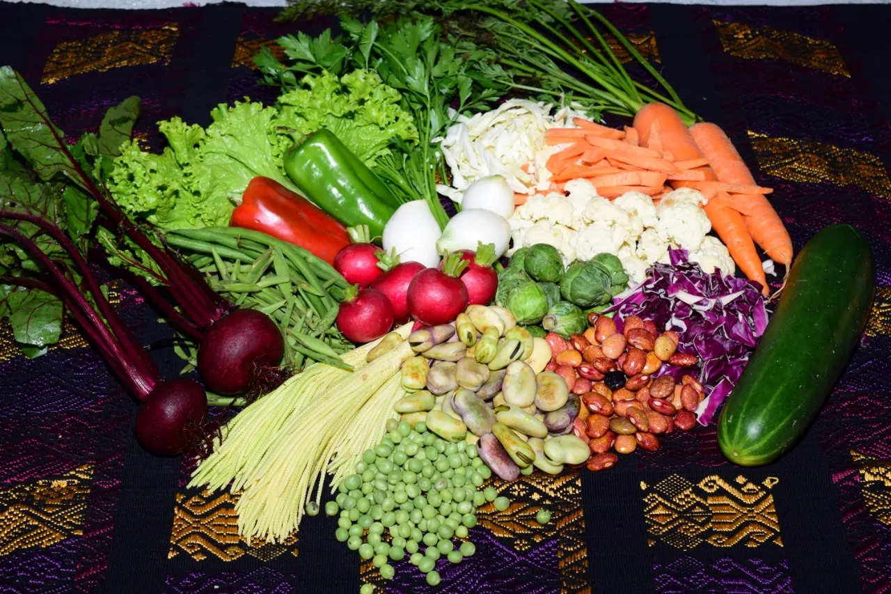 Combo No 1 Verduras organicas surtidas