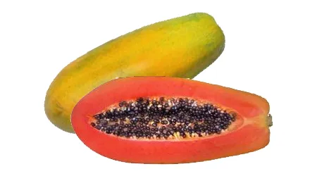 papaya unidad