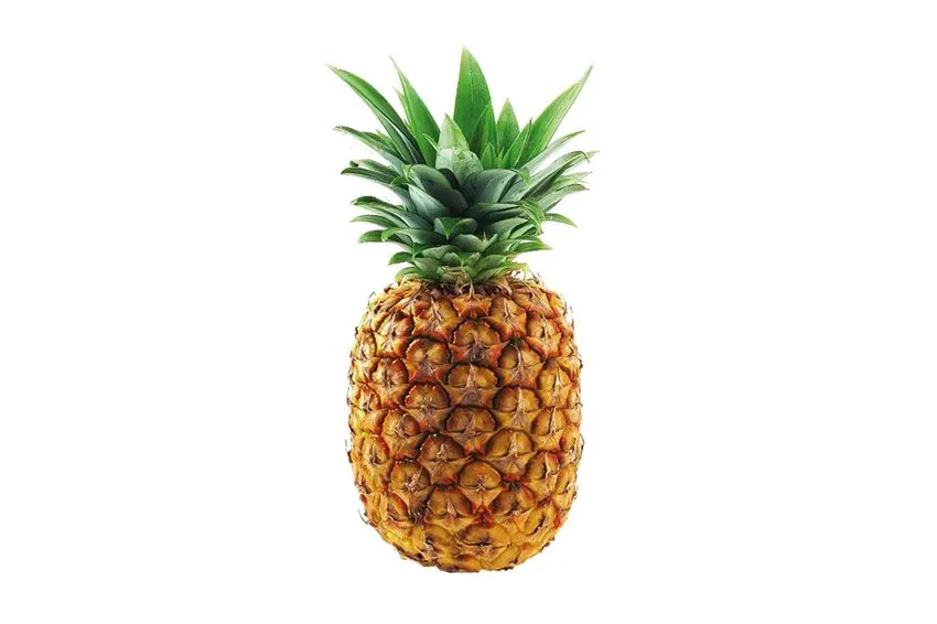 Piña unidad