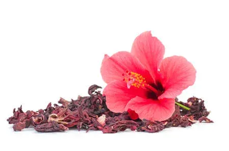 Rosa Jamaica deshidratada