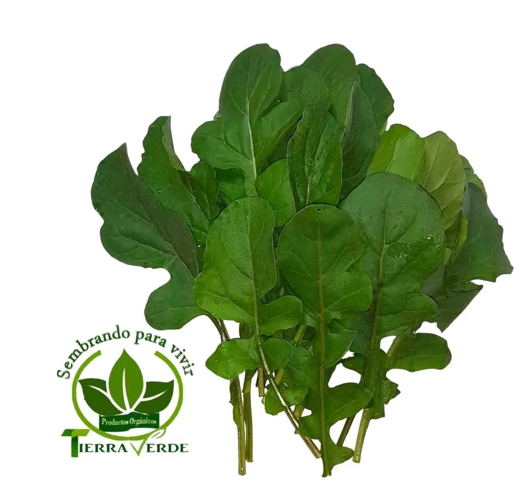 Rúgula (1/2 lb)