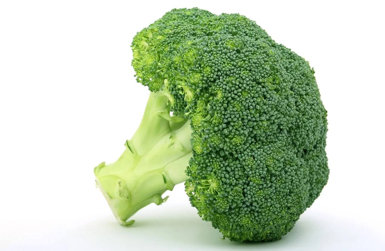 Brocoli (Unidad)