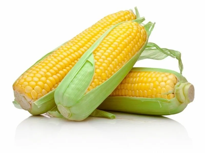 Elote Dulce (Unidad)